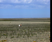 Grasslands National Park