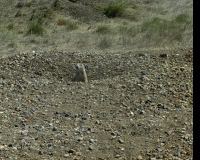 Grasslands National Park