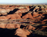 Petrified Forest National Park