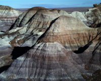 Petrified Forest National Park