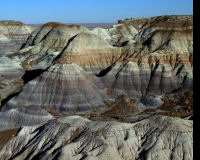 Petrified Forest National Park