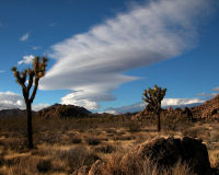 Mojave Desert National Preserve