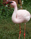 Zoo