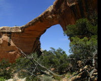 Arches National Park